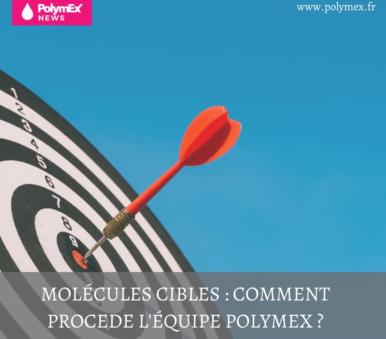 Molécules cibles : comment procède l’équipe Polymex ?